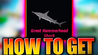 Where To Find Great Hammerhead Shark In Fisch  Great Hammerhead Shark Location  Roblox [upl. by Karyl]