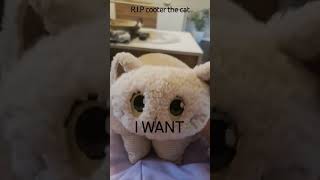 cream the talking cat 1 RIP cooter cootloop catsoftiktok cats cat catperson [upl. by Andrea688]