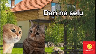 Smešne mačke na selu  Smeh do suza 😁 [upl. by Odelle]