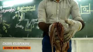 Mollusca මොලුස්කා සාමාජික දැල්ලා CHAMIL RAJAPAKSHA SCIENCE WITH PRACTICALS [upl. by Kally672]