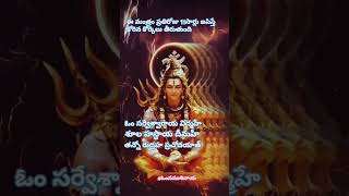 Powerful rudhra mantram devotional కార్తీకమాసం2024 [upl. by Moses]