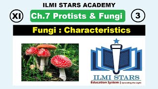 General Characteristics of Fungi Class 11 Biology Chapter 7 Protists and Fungi [upl. by Marchese592]