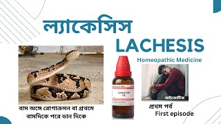 Lachesis  ল্যাকেসিস  Materia Medica  Learn Lachesis easily [upl. by Ellenrahs587]