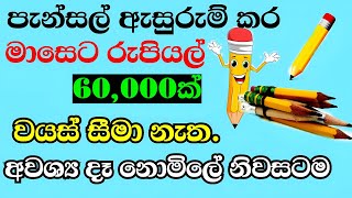 jobs in sri lanka  new job vacancy  job vacancy 2023  පැන්සල් ඇසුරුම් කර මාසෙට 60000හොයමු [upl. by Prager]