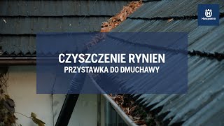 Jak wyczyścić rynnę [upl. by Eceinhoj315]