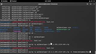 How to Unzip Files in Linux [upl. by Aihseit]