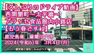 【久しぶりのドライブ動画】西開聞町～太平橋～プラッセ食品館大小路店【もう春ですね】鹿児島県 薩摩川内市 2024（令和6）年3月4日月 [upl. by Varuag]