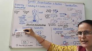 Genetic Recombination in Bacteria Transduction [upl. by Season]