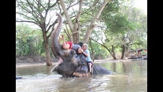 AMAZING AND UNFORGETTABLE EXPERIENCE BATHING AND FEEDING THE ELEPHANT HONEYMOON BANGKOK THAILAND [upl. by Nnairam]