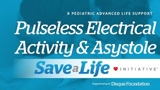 10b Pulseless Electrical Activity and Asystole 2024 [upl. by Deach36]