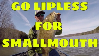 Lipless Rattle Traps Crankbaits for bass learn how I use a lipless crankbait for smallmouth [upl. by Eseerahs]