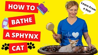 How To BATHE a SPHYNX CAT BY YOURSELF Vet Demonstrates [upl. by Teressa367]