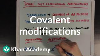 Covalent modifications to enzymes  Biomolecules  MCAT  Khan Academy [upl. by Sunshine]