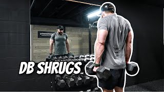 How To Do Dumbbell Shrugs For Meaty Traps [upl. by Staten]