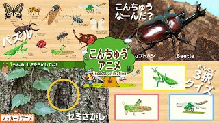 【昆虫いろいろ】カブトムシ・クワガタムシ・カマキリなど人気の昆虫知育アニメまとめ【赤ちゃん・子供向けアニメ】Insects animation for kids [upl. by Syst]