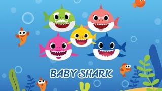 Baby Shark Doo Doo 😍Song [upl. by Elwaine]