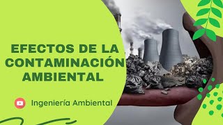 👷🏻‍♂️ Efectos de la contaminación ambiental para niños [upl. by Meghann]