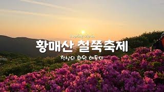 황매산 철쭉축제 지금이 절정 입니다 5월에 가볼만한곳 합천여행 산청여행 [upl. by Narahs]