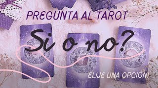 Pregunta al tarot  SI o NO  🌷Tarot interactivo 🌼 E [upl. by Gianina]