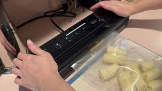 Quick Review of the DIKEIBAS Vacuum Sealer Machine [upl. by Bernadette938]