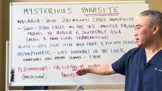 Mysterious PARASITEMalaria Plasmodium [upl. by Sybyl]