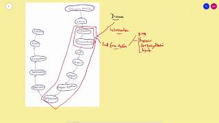 Experimental pharmacology an introduction [upl. by Andrews]