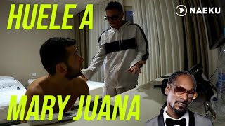 HUELE A MARY JUANA Broma en hotel a Cachetes [upl. by Anaeli]