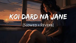 Koi Dard Na Jane Mera Slowed  Reverb  Female Version  Viral Lofi [upl. by Arlynne899]