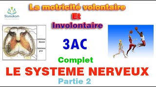 la motricité volontaire et involontaire 3ac cour complet [upl. by Rudolph]