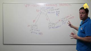 Introduction to VTP VLAN Trunking Protocol [upl. by Dunseath]