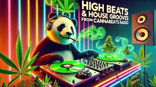 sunocom  Endless High v2  Cannabis Beats Hard House Big Beats 420 Music Stoner Beats [upl. by Tama]