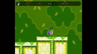 playing a cool sonic flash game [upl. by Judith599]