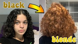 going from BLACK to BLONDE  WITHOUT BLEACH  Part 1 [upl. by Ayit945]