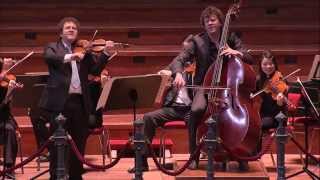 Bottesini Gran duo concertante  Concertgebouw Kamerorkest  Live Concert  HD [upl. by Diarmid]