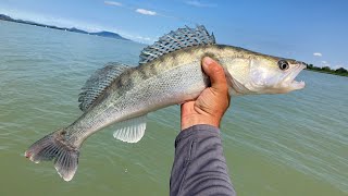 Csónakos süllő pergetés a Balatonon [upl. by Enyallij]