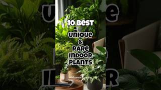 Best Unique and Rare indoor plants ✅ Rare houseplants [upl. by Enyahc980]