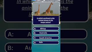 Intelligence Test  animal game kids shorts foryouquizze english [upl. by Pheni]