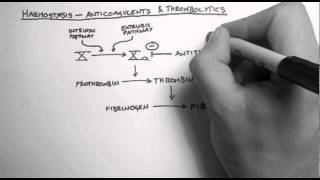 Haemostasis 3  Anticoagulants amp Thrombolytics [upl. by Bocaj]