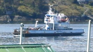 BC Ferries Brentwood Bay to Mill Bay Mill Bay [upl. by Sandye422]