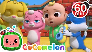 The 3 Little Friends  Animals for Kids  Animal Cartoons  Funny Cartoons  Learn about Animals [upl. by Louis]