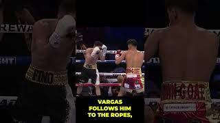 Emiliano Vargas Displays POWER and ACCURACY emilianovargas boxing elgeneral [upl. by Thinia851]