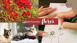 Desenhando flores [upl. by Bills]