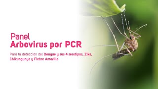 Panel Arbovirus por PCR [upl. by Nahshu]