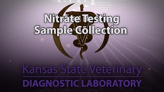 Nitrate Testing Sample Collection [upl. by Ennasus]