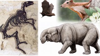 Taking Center Stage The Rise of Mammals In The Post Dinosaur World From 66 to 33 Million Years Ago [upl. by Asylem]