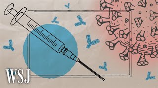 Vaccine Efficacy Numbers Explained  WSJ [upl. by Kieryt]