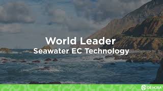 Seawater Electrochlorination Technology World Leader  De Nora [upl. by Alih]