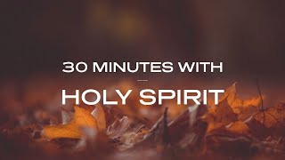 30 Minutes With Holy Spirit Deep Prayer amp Prophetic Worship Music [upl. by Yttiy570]