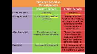 Sensitive vs Critical periods of learning  VCE Psychology [upl. by Naharba]