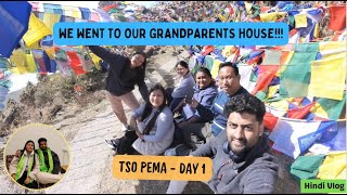 Took him to my Grandparents home Tso Pema Day  1 tibetanvlogger himachal india [upl. by Yanahs]